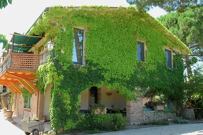 Appartamento con piscina a Marsciano