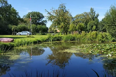 Reetdachkate in der Wiese