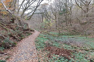 8 Personen Ferienhaus in Brovst-By Traum