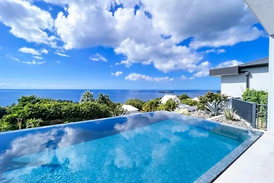 Villa a Bouillante con piscina a sfioro