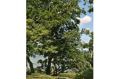 Oostelijkste klifkust, direct aan zee, appart...