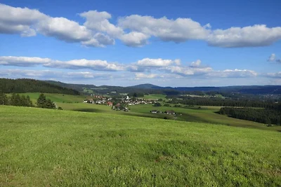 Ferienwohnung in Breitnau mit Wifi