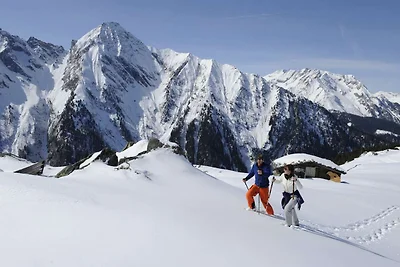 Wohnung in Schwendau nahe Horbergbahn