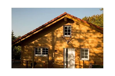 Ferienhaus Erholungsurlaub Heringhausen