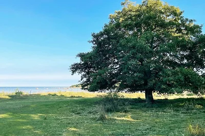 4 star holiday home in SÖLVESBORG-By Traum