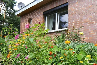 Casa vacanze nel Feldberger Seenlandschaft