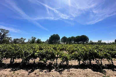 Bauernhaus in Aigues-Mortes in Strandnähe