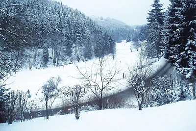Ferienwohnungen in Winterberg
