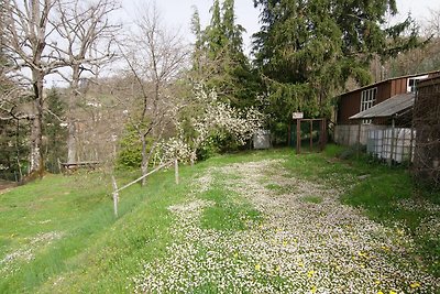 Gemütliches Ferienhaus mit privatem Garten