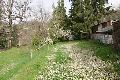 Accogliente casa vacanze con giardino privato