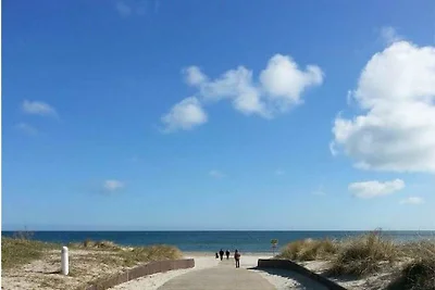 Stranddüne 19 am Strand