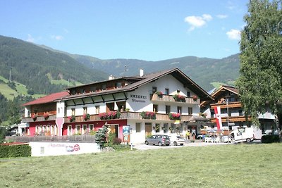 Moderne Ferienwohnung mit Sauna in Kaltenbach