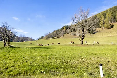Apartment in Skigebiet in Bad Kleinkirchheim