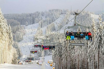 Ruim appartement in Winterberg bij skipiste