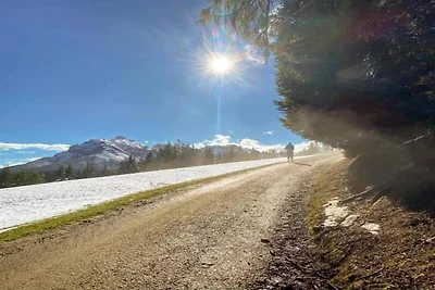 Wohnung in Ramsau nahe Skipisten