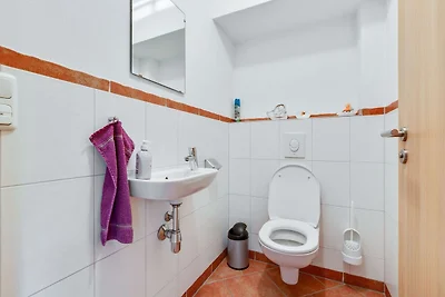 Geräumige Villa mit Sauna in Mittersill