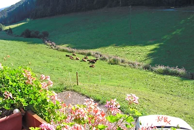 Casa vacanze a Hofstetten con terrazza