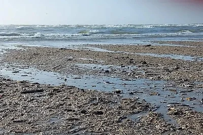 10 Personen Ferienhaus in Blåvand