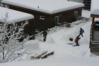 Tipologia C Confortevole residenza per...