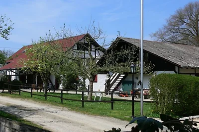 Birkenhof-Trepte