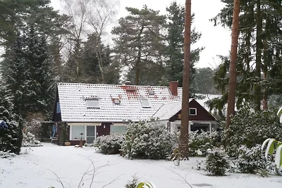 Ferienhaus mit 3 Schlafzimmer