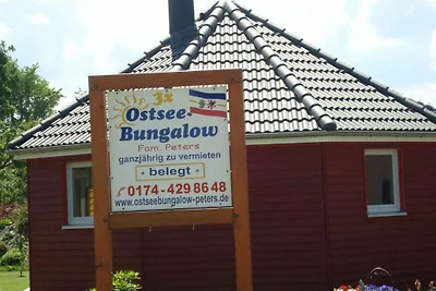 Geel - Peter's moderne toevluchtsoord