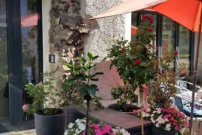 Sistemazione nel mezzo di un'azienda vinicola