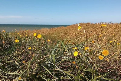 8 persoons vakantie huis in Harboøre-By Traum