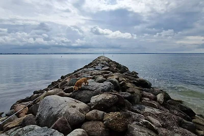 4 Sterne Ferienhaus in Øster Assels-By Traum
