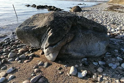 5 Personen Ferienhaus in Føllenslev-By Traum