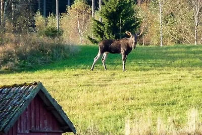 6 Personen Ferienhaus in HUNNEBOSTRAND