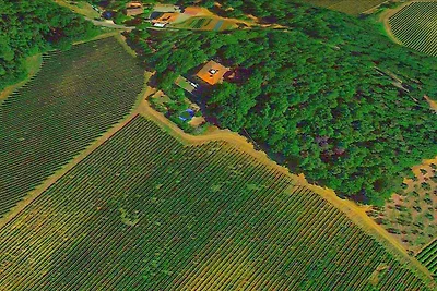 Ein Teil einer schönen Villa mit Aussicht