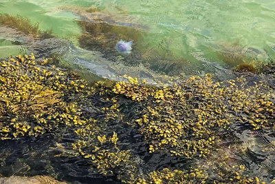 6 persoons vakantie huis in Frederikshavn-By...