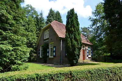 Ferienhaus in Zelhem f�r 6 Personen