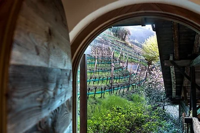 Appartamento a Merano con piscina