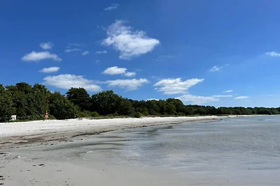 4 Sterne Ferienhaus in SÖLVESBORG