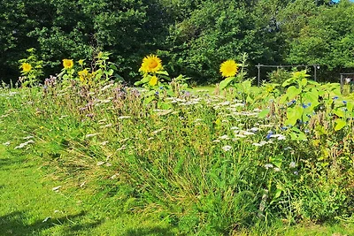 Ritiro idilliaco in fattoria danese-By Traum