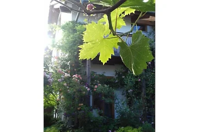 Ferienwohnung mit 1 Schlafzimmer