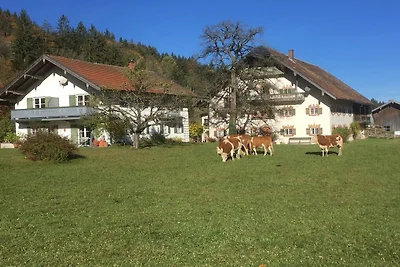 Ferienwohnung mit 2 Schlafzimmer