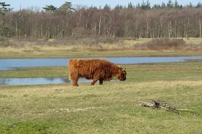 Bakkums Voorhuisje