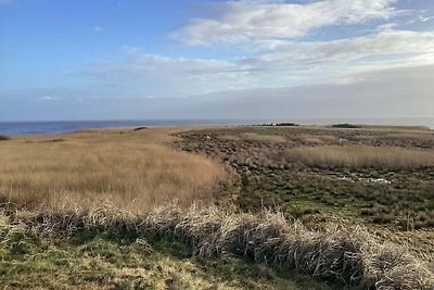 4 Sterne Ferienhaus in Hvide Sande