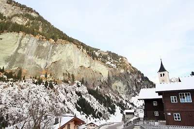 Appartement dichtbij het skigebied
