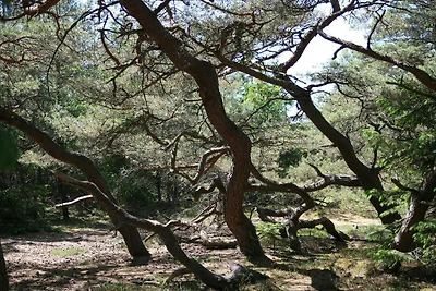 Luxus-Ruckzug in Liseleje -- By Traum...