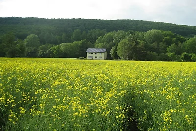 Ferienwohnung für neun Personen in Homberg