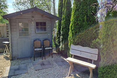 Gezellig chalet met 2 badkamers in Tzummarum