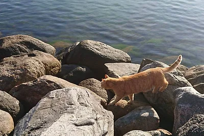 4 Personen Ferienhaus in Karrebæksminde