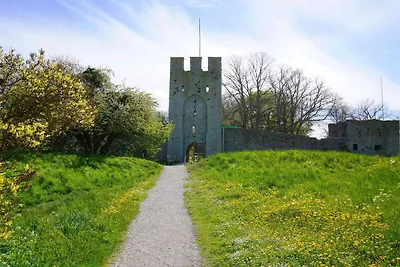5 Sterne Ferienhaus in Lärbro