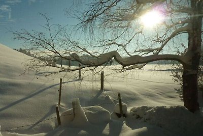 Böllenburg Residenza di vacanza confortevole