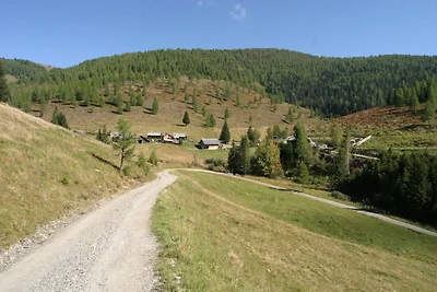 Appartamento a Feld am See vicino piste