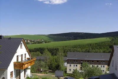 Ferienwohnung in Bärenstein mit Wifi
